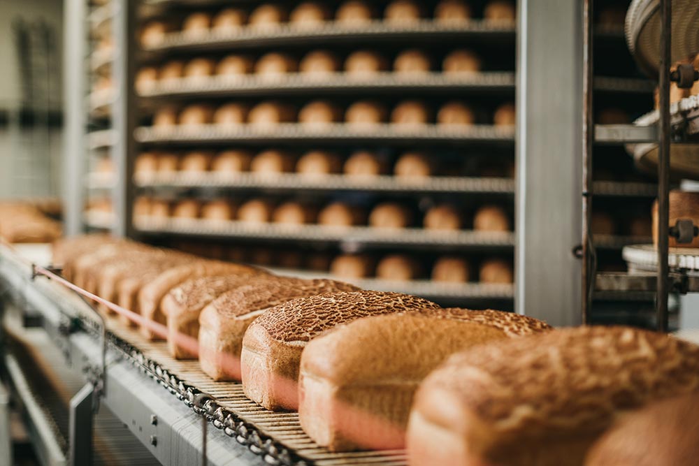 Growth, Change Creates Opportunities in Food Manufacturing and Processing