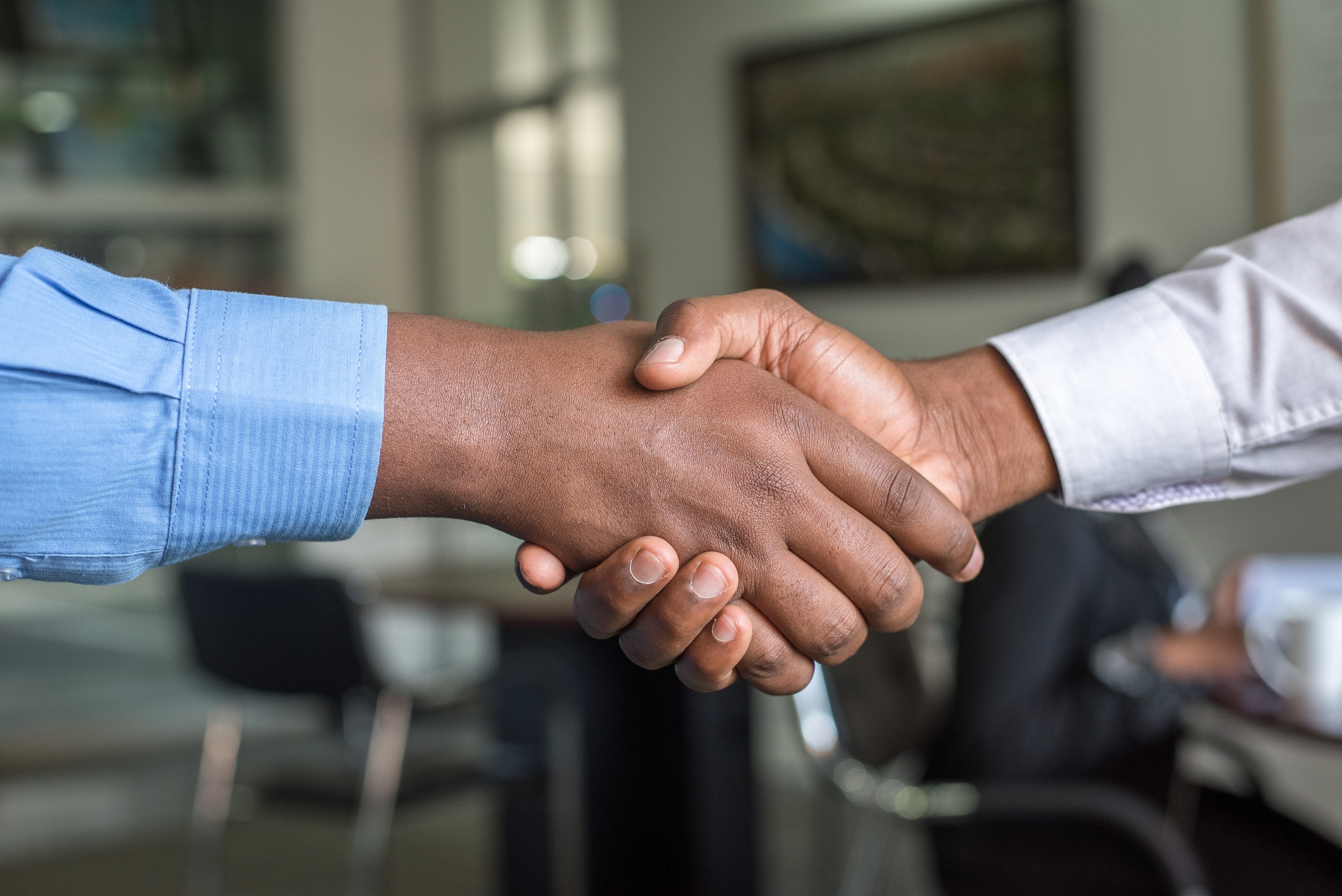 A handshake between two people