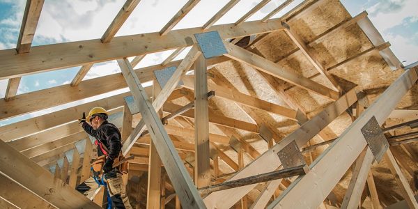 Economic Contribution of the Home Building Sector in Long Island, NY